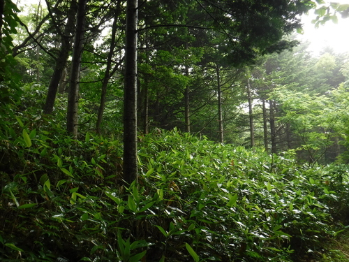2017_0716_09345500.jpg