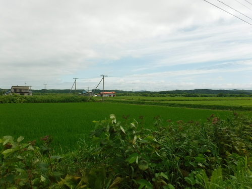 2017_0719_09274000.jpg