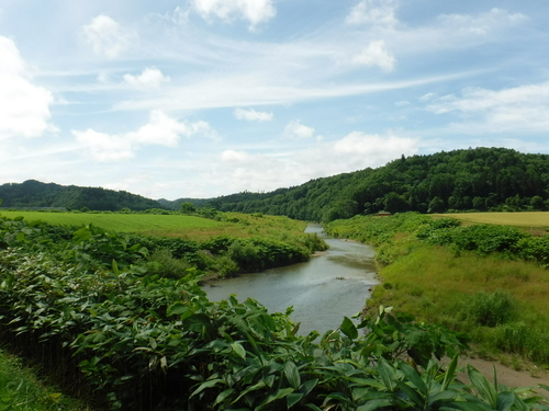 2017_0719_10050300.jpg