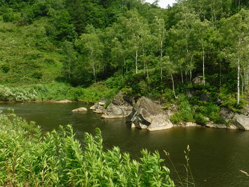 2017_0721_13013800.jpg