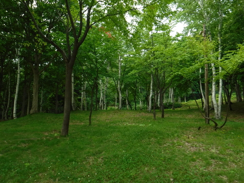 2017_0721_14480700.jpg