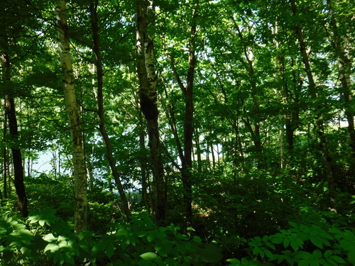 2017_0722_09043100.jpg