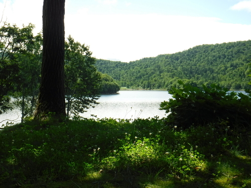 2017_0722_09195600.jpg