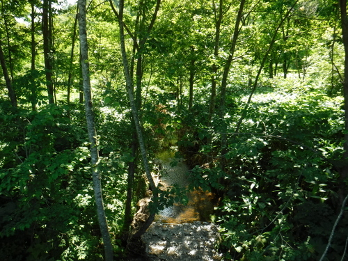 2017_0723_10055100.jpg