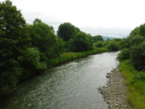 2017_0724_09405500.jpg