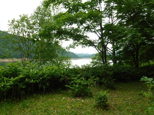 2017_0724_13455400.jpg