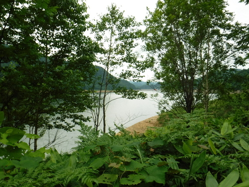 2017_0724_13461300.jpg