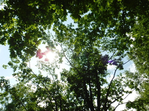 2017_0725_13192500.jpg