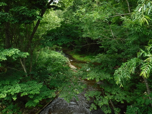 2017_0727_09250700.jpg