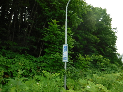 2017_0727_12485400.jpg