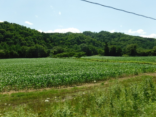 2017_0729_09462000.jpg