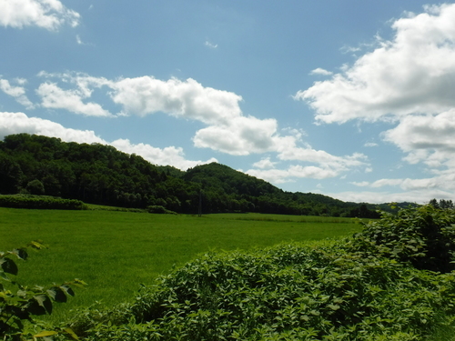 2017_0729_10035600.jpg