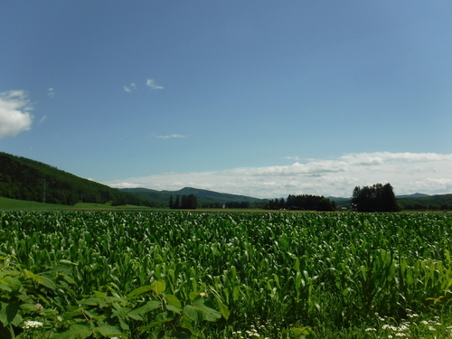 2017_0729_10462400.jpg
