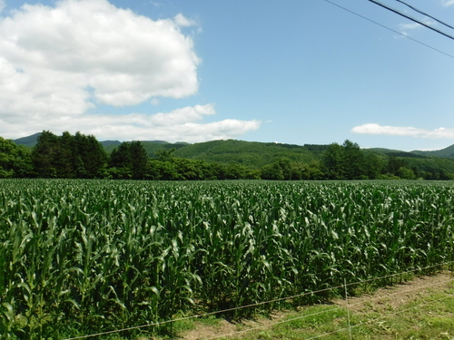 2017_0729_10593500.jpg