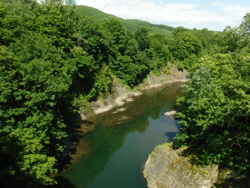 2017_0729_13510100.jpg