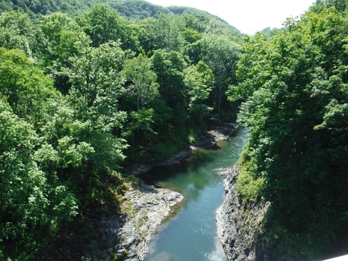 2017_0729_13511300.jpg