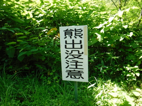 2017_0729_13571500.jpg