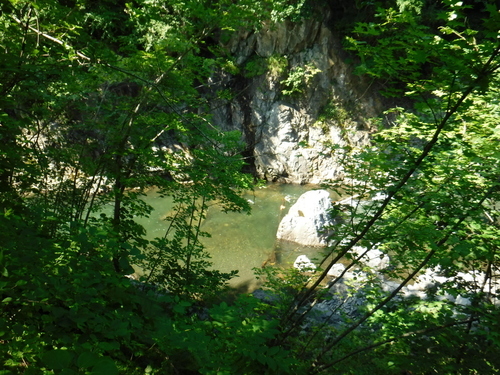 2017_0729_14012600.jpg