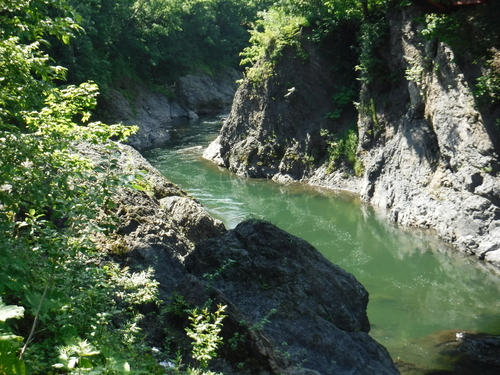 2017_0729_14051700.jpg