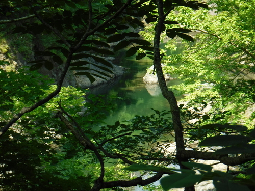 2017_0729_14154600.jpg