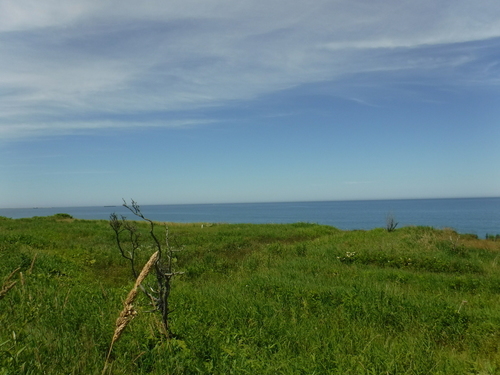 2017_0730_13013300.jpg