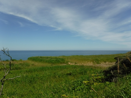2017_0730_13014800.jpg