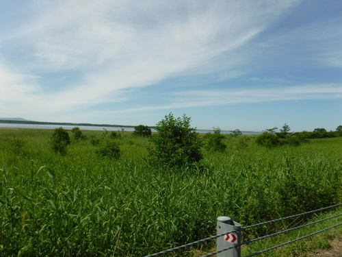 2017_0730_14103500.jpg
