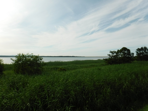 2017_0730_15583700.jpg