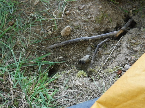 2017_0801_10282700.jpg