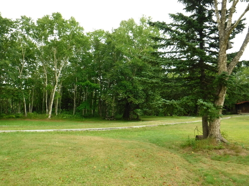 2017_0807_08090600.jpg
