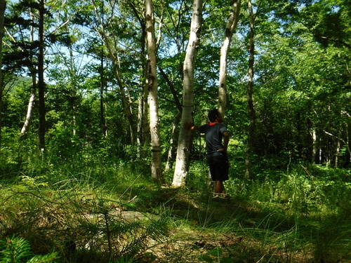 2017_0807_11072400.jpg