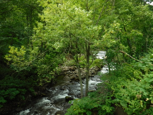 2017_0808_09195200.jpg