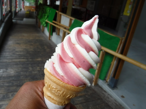 2017_0808_16495100.jpg