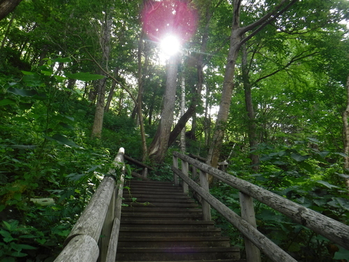 2017_0809_08375000.jpg