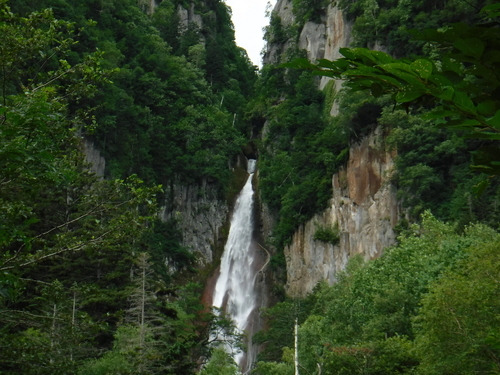 2017_0809_09135800.jpg