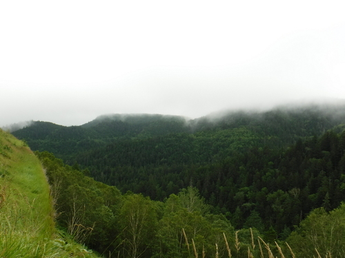 2017_0810_10272700.jpg