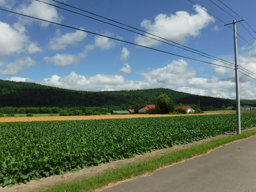 2017_0816_09403700.jpg