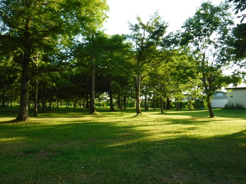 2017_0816_17041200.jpg