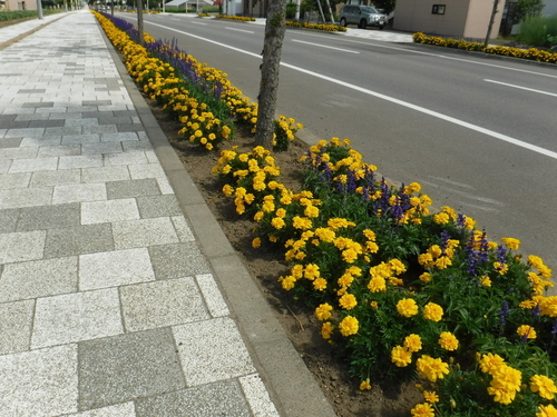 2017_0817_10435500.jpg