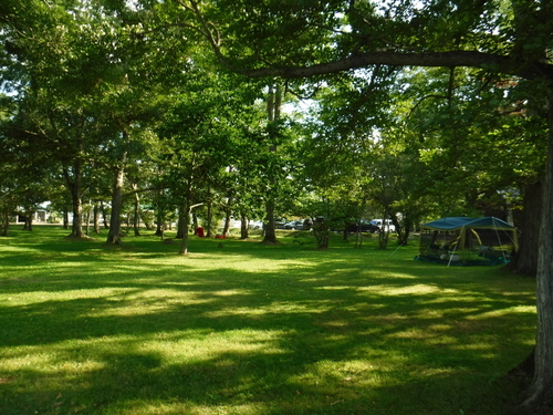 2017_0819_15325900.jpg