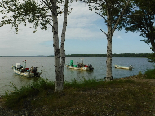 2017_0820_14084500.jpg