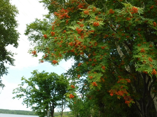 2017_0820_14093700.jpg