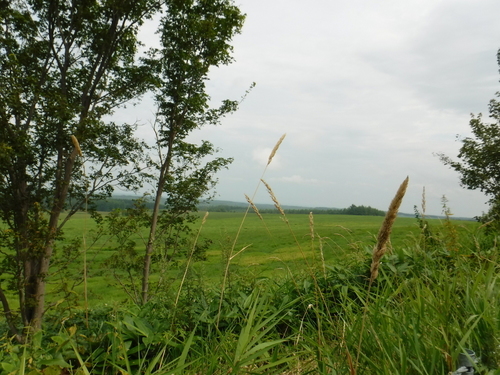 2017_0824_10142000.jpg