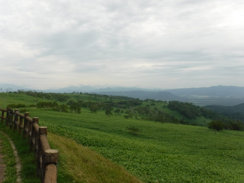 2017_0824_11312900.jpg