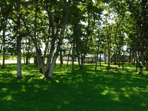 2017_0827_10293900.jpg