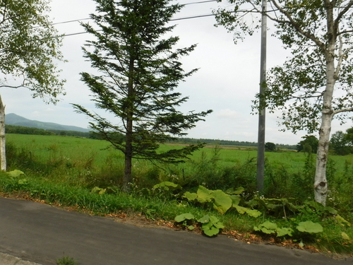 2017_0828_11595100.jpg
