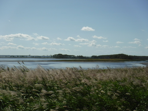 2017_0904_12303800.jpg