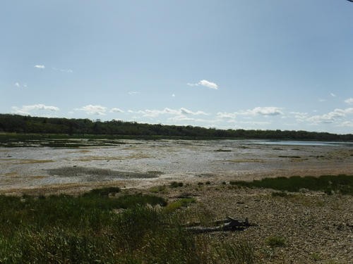 2017_0904_12425600.jpg