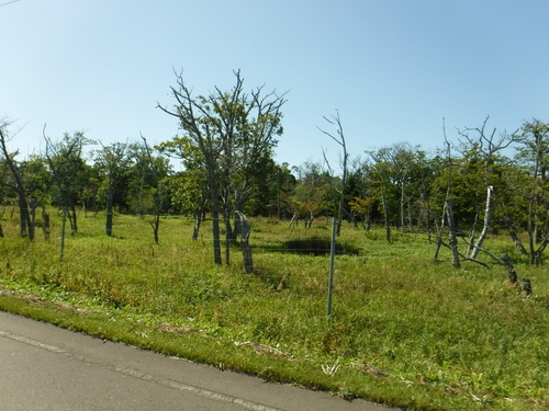 2017_0905_10354500.jpg