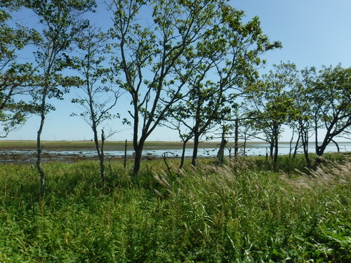 2017_0905_10355400.jpg